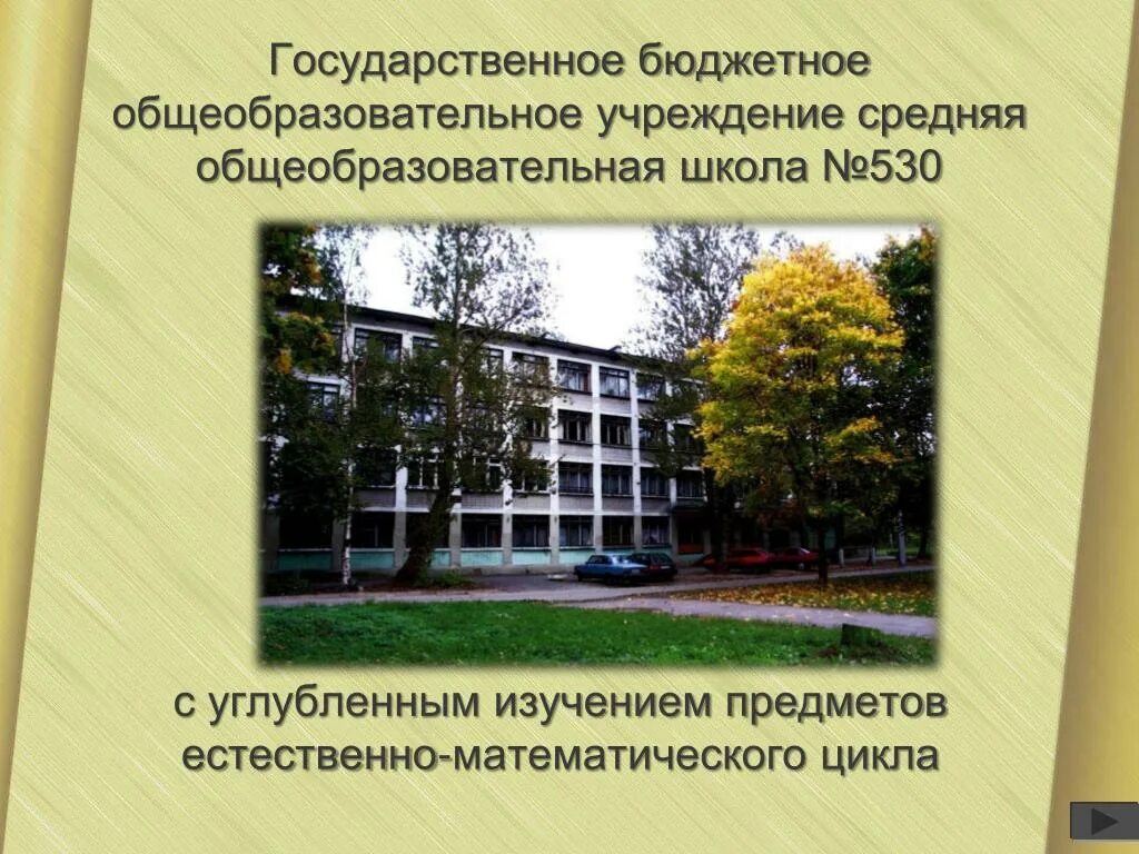 Школа 530. Бюджетные образовательные учреждения. 530 Школа Пушкин. Школа с углубленным изучением предмета это. Школы с углубленной химией