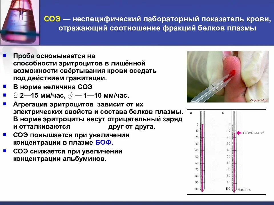 Диагностическое значение общего белка. СОЭ. СОЭ неспецифический показатель. Норма белковых фракций в крови. Белковые фракции крови биохимия.