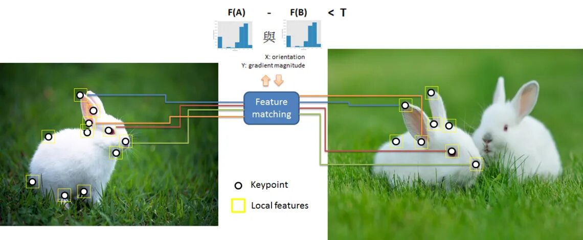 Feature-based matching. OPENCV local features. Keypoint animals OPENCV. Feature matching