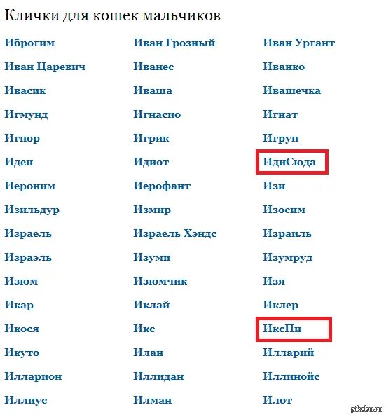 Как назвать девушек легко. Имена для котов мальчиков редкие и красивые. Список имен для котов мальчиков. Какие есть клички для котов мальчиков. Список имен для котенка мальчика.