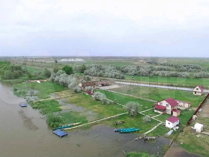 Оранжерейное астраханской