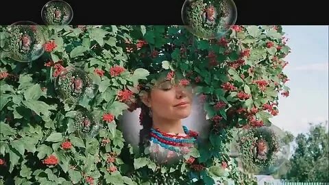 Песня калина красная слуцкий