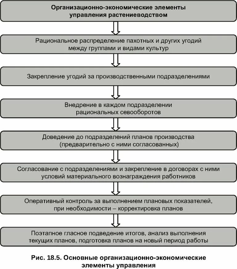 5 экономических элементов. Организационно-экономические. Организационно-экономическое управление это. Элементы экономического анализа. Основные экономические элементы.