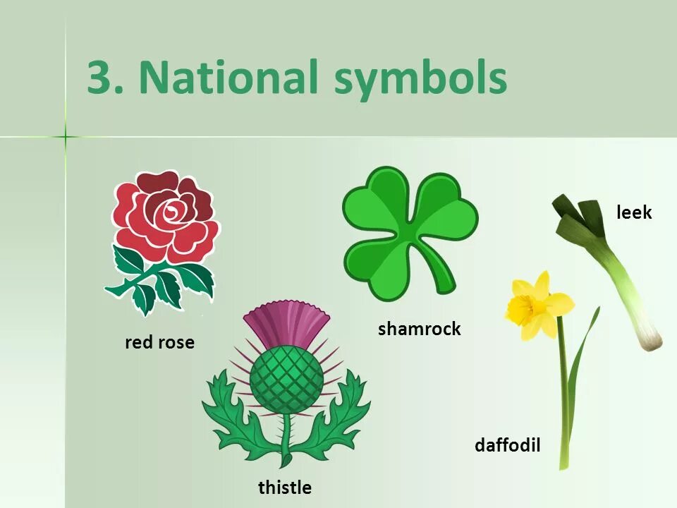 Растение символ страны. Национальные символы Англии Шотландии Уэльса и Северной Ирландии. Цветы Британии символы. Символы Англии Уэльса Шотландии.