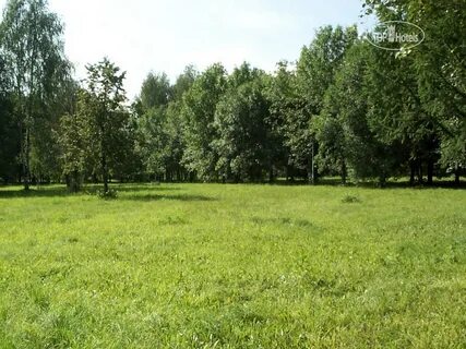 Березово московская область