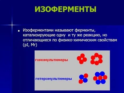 Биологическая роль изоферментов