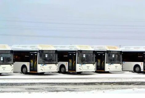Автобус 2 белгород