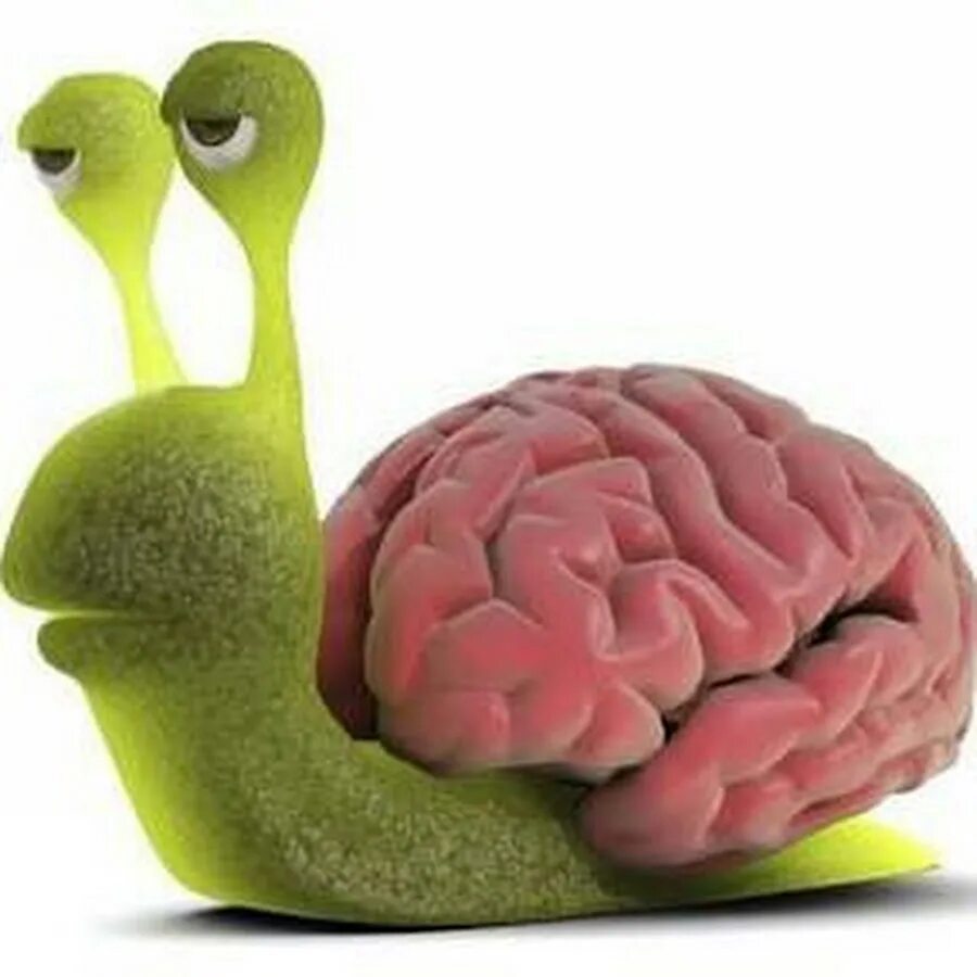 Slow brain. Ленивый мозг. Мозг ленится. Мозг отдыхает. Отдыхающий мозг.