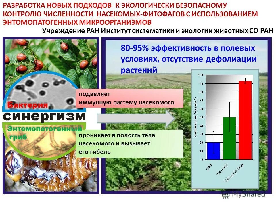 Схема воздействия экологических факторов на организм. Факторы ограничивающие свободу. Устойчивость вредителей к пестицидам. Популяционные волны. Экологические факторы вспышки численности насекомых.