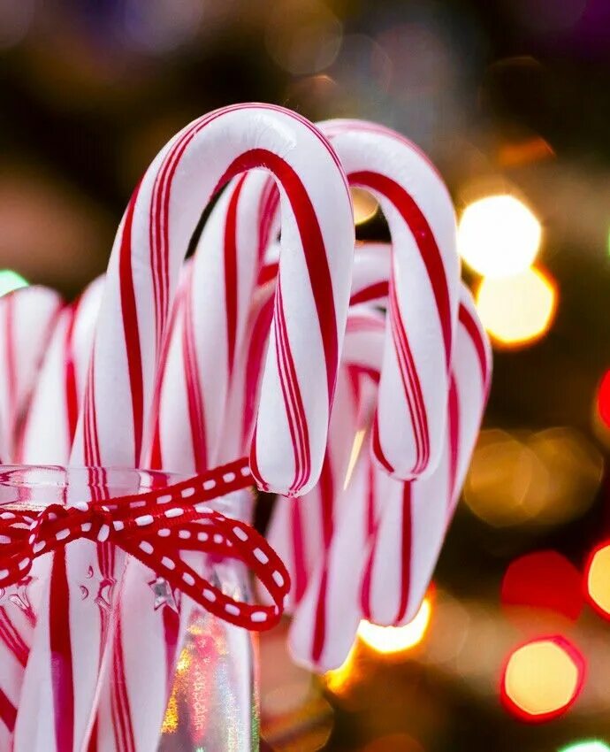 Candy cane. Кэнди Кейн. Кэнди Кейн ГПО. Американский леденец на Рождество. Американские Карамельки.