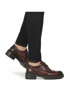Дерби tendance