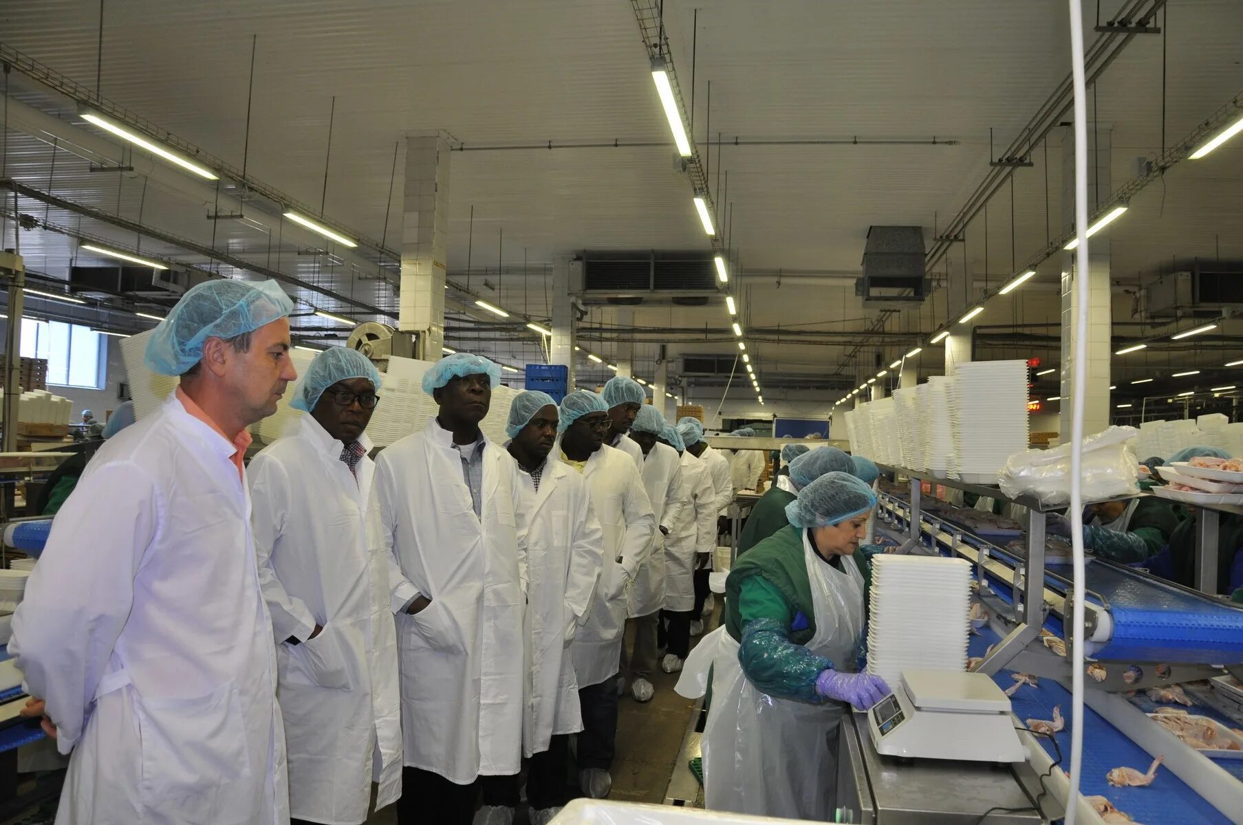 Птицефабрика элинар бройлер. Элинар бройлер. Птицефабрика элинар-бройлер лого. Элинар бройлер птичники. Ооо элинар бройлер.