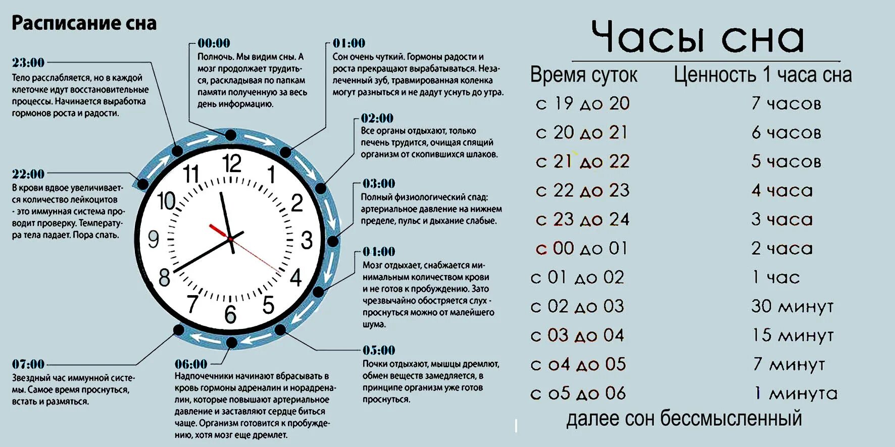 Сколько времени надо давать