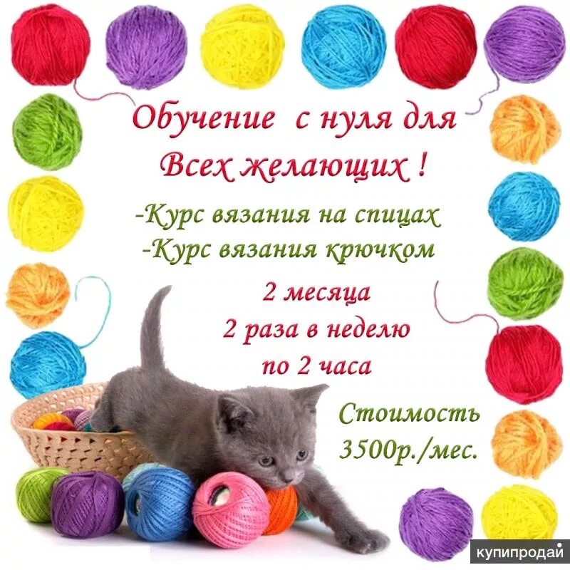 Объявления для вязки собак. Смешные объявления. Журнал ксюша декабрь 2020. Объявление вязка котов. Смешные объявления о вязке собак.