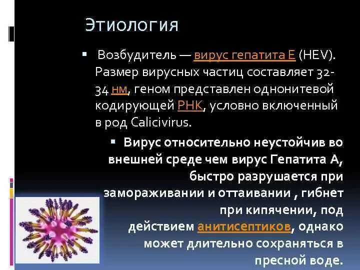 Гепатит а и е. Вирусный гепатит е возбудитель. Вирусный гепатит е этиология. Характеристика вируса гепатита е. Гепатит e этиология.