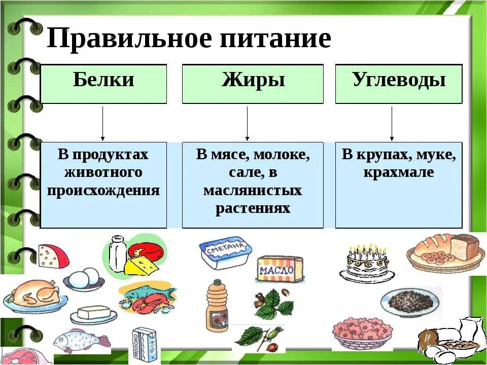 Правильные жиры и углеводы