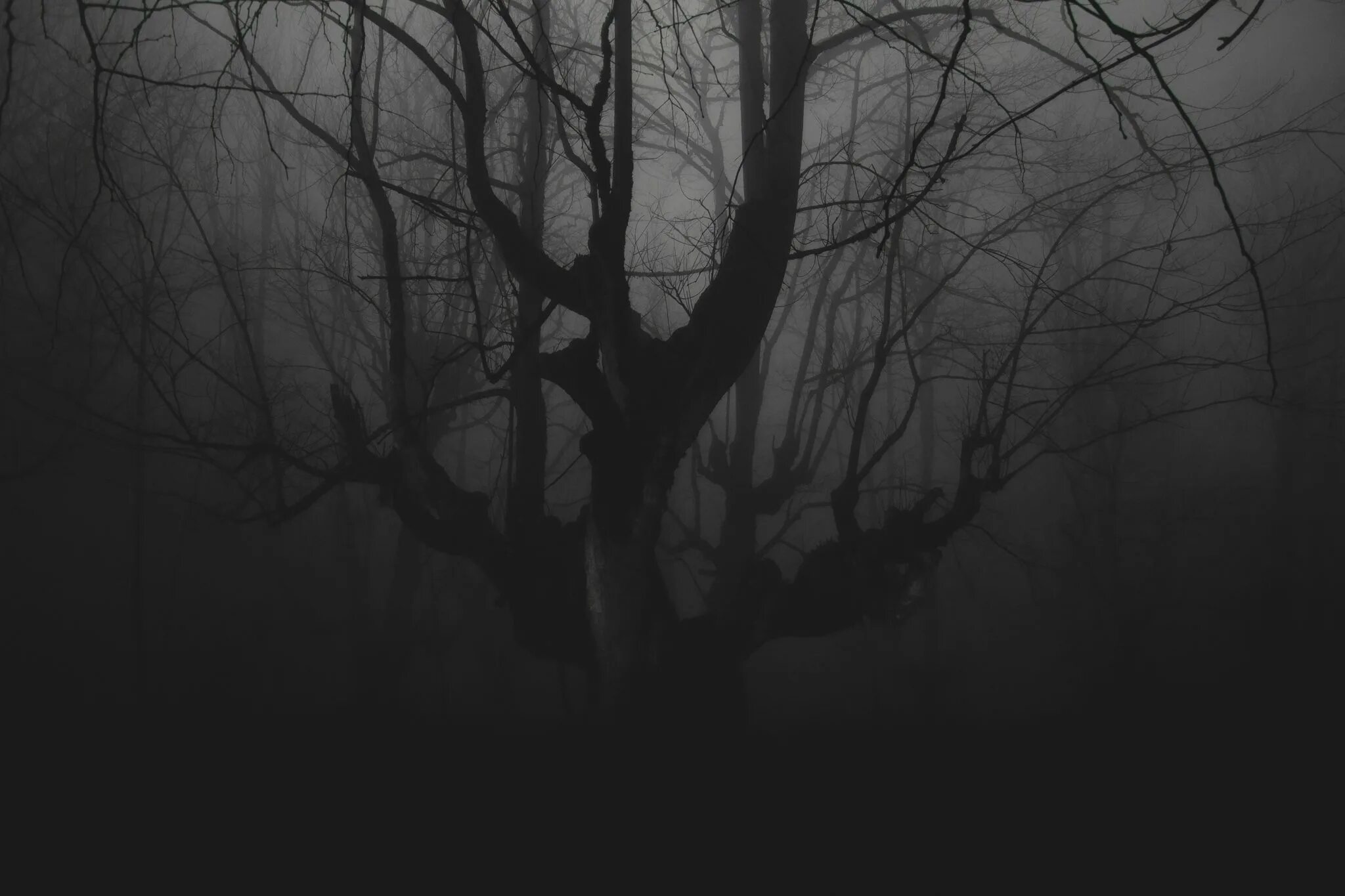 Текстура туман темнота небоскреб. Туманный лес самара. Ночь туман мрак. Dark fog минп. Текстура туман темнота.