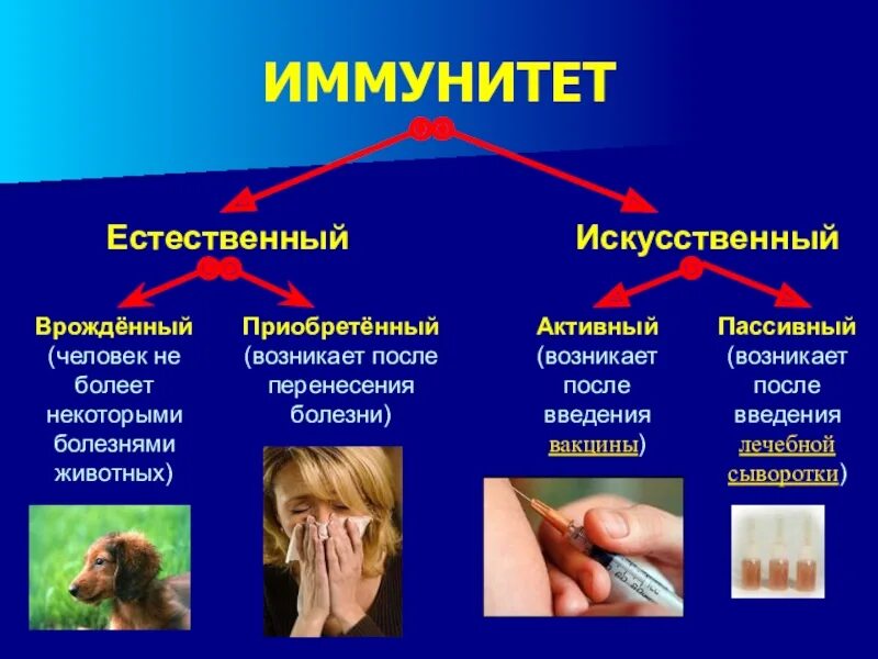 Пассивные болезни. Естественный врожденный пассивный иммунитет. Приобретенный искусственный активный иммунитет. Естественный иммунитет и искусственный иммунитет. Искусственный приобретенный иммунитет это.