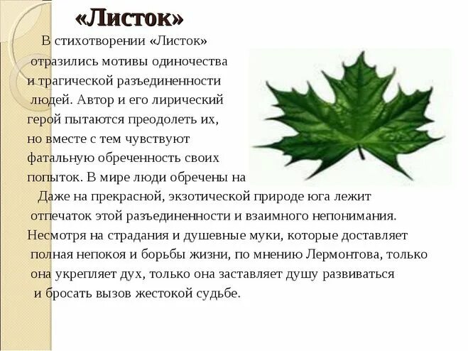 Основная мысль текста лист листочек. Анализ стихотворения листок. Стихотворение листок. Произведение листок. Анализ стихотворения листочек.