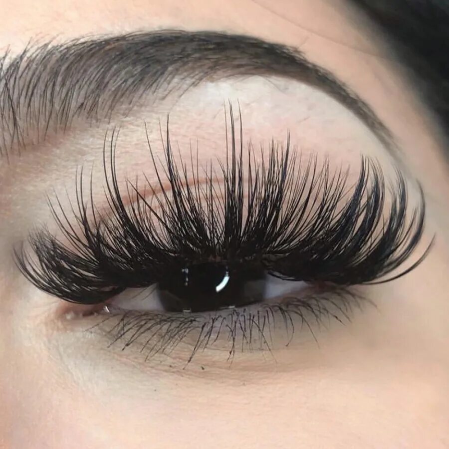 Curl lashes. Ресницы 4д Голливуд кукольный эффект 14мм. Ресницы 4д Голливуд 15мм. Ресницы 7д кукольный эффект Голливуд.