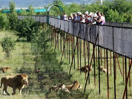 Про зоопарк тайган
