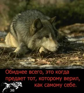Он убегал в него