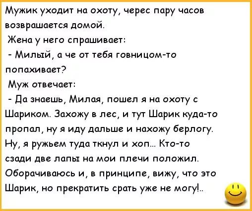 Мужчина ушел форум. Анекдот про перспективу у шарика. Анекдоты про мужа и жену. Анекдот про большие перспективы. Анекдот про шарика и пер.