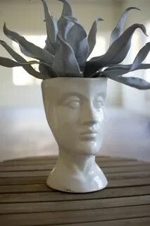 Head plant