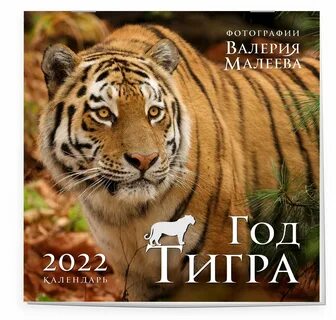Покажи 2022 год