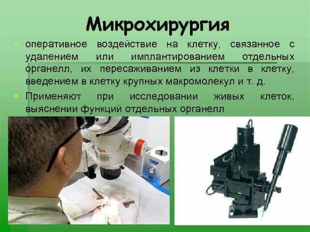 Какие методы используются для исследования клетки. Микрохирургия метод изучения клетки. Микрохирургический метод в цитологии. Методы микрохирургии в цитологии. Методы исследования клеток в цитологии.