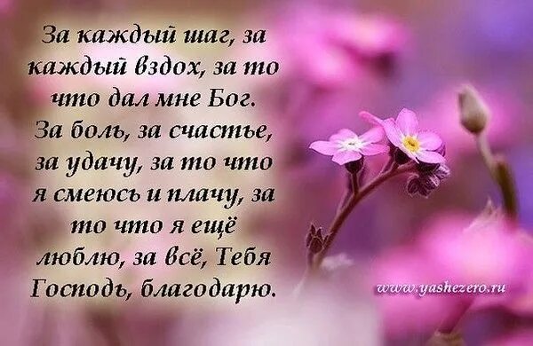 Господи спасибо что рядом есть друзья текст. Благодарность Богу. Благодарность Богу за все в стихах. За каждый день спасибо Богу. Благодарю за каждый день.