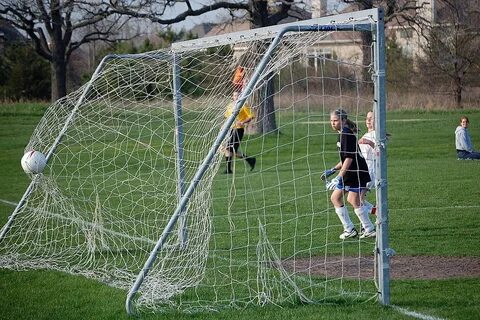 Goal org
