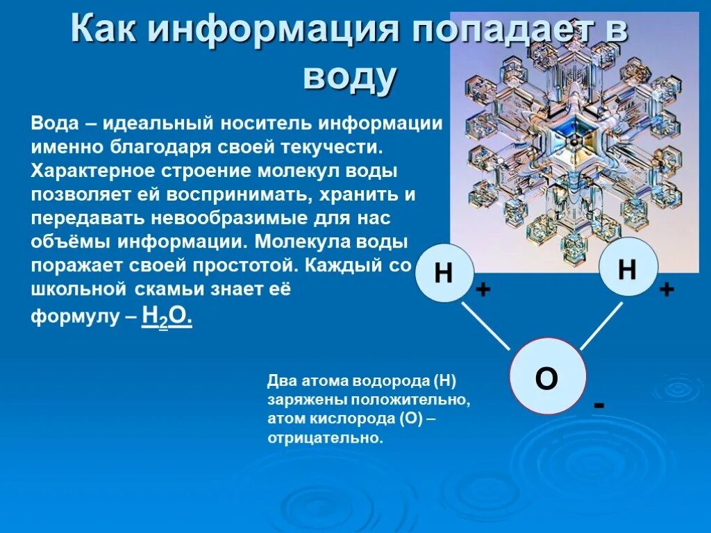 Передать информацию воде. Вода носитель информации. Структура воды. Вода как информация. Вода структура организма.