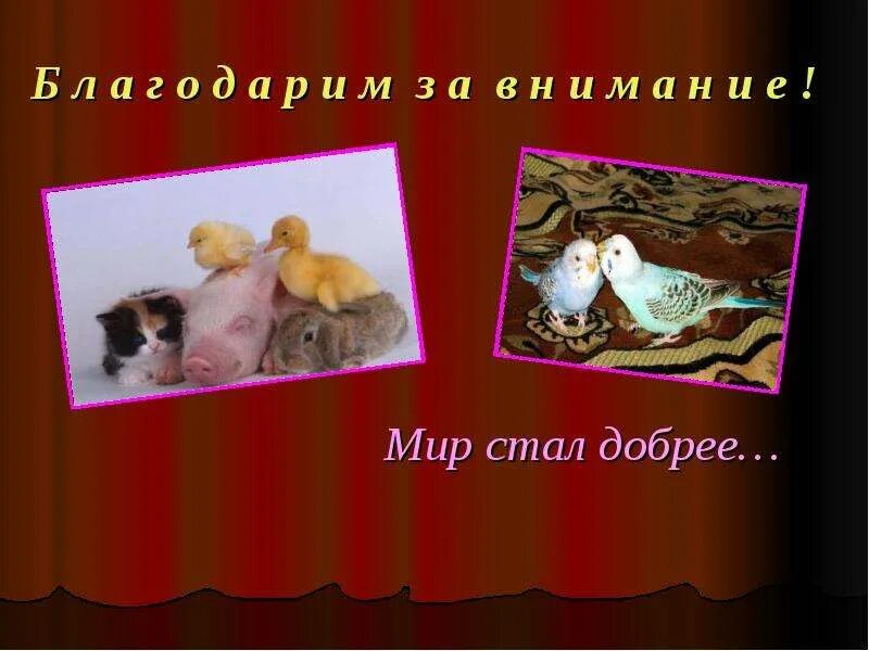 сказки о братьях наших меньших. книги о братьях наших меньших 3 класс. о братьях наших меньших литературное чтение. образы животных в художественных произведениях. детские книги о братьях наших меньших.