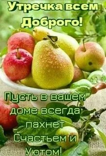 Доброе утро овощи фрукты