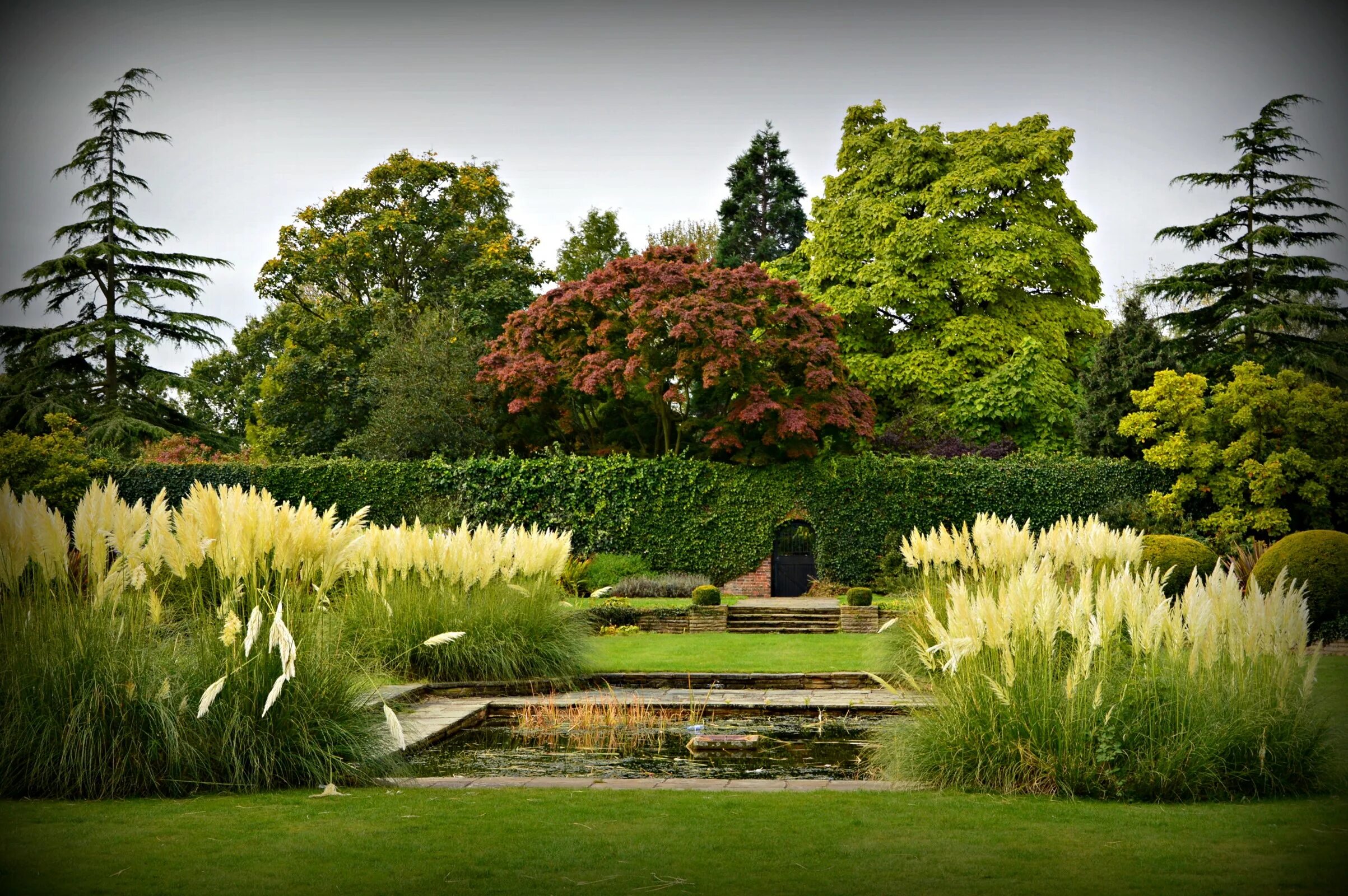 K garden