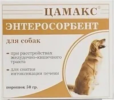 Что дать собаке от поноса