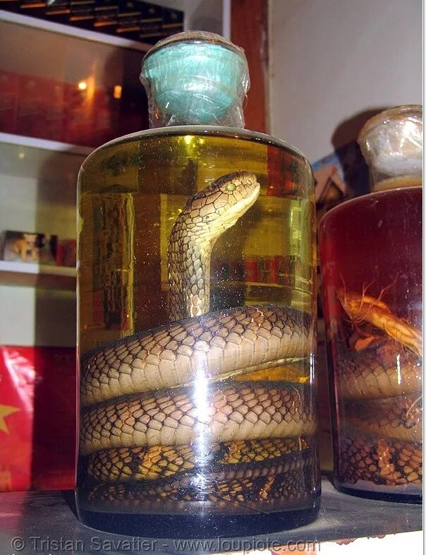 Настойка на змее. Змеиное вино (Вьетнам). Змеиное вино из Вьетнама. Snake Wine Вьетнам.