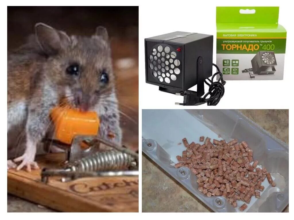 Способы избавиться от мышей. Отраву для мышей в автомобиле. Домики для мышей с отравой. Отрава для крыс в машину. Отрава мышиный домик.