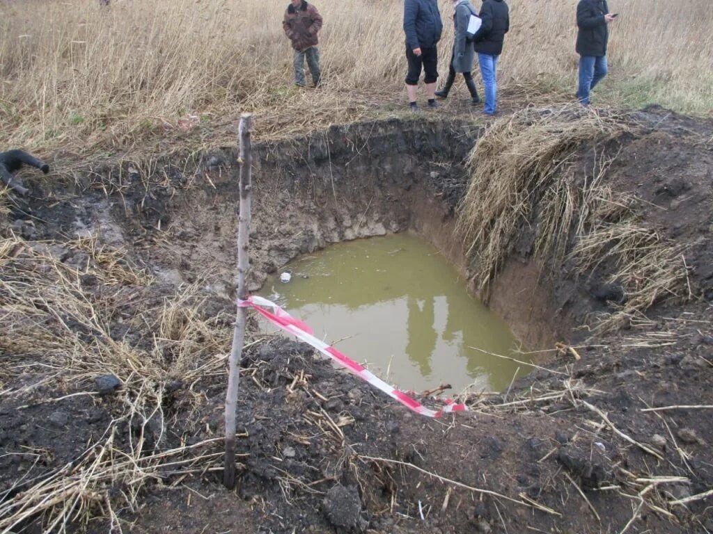 Ям ям юг