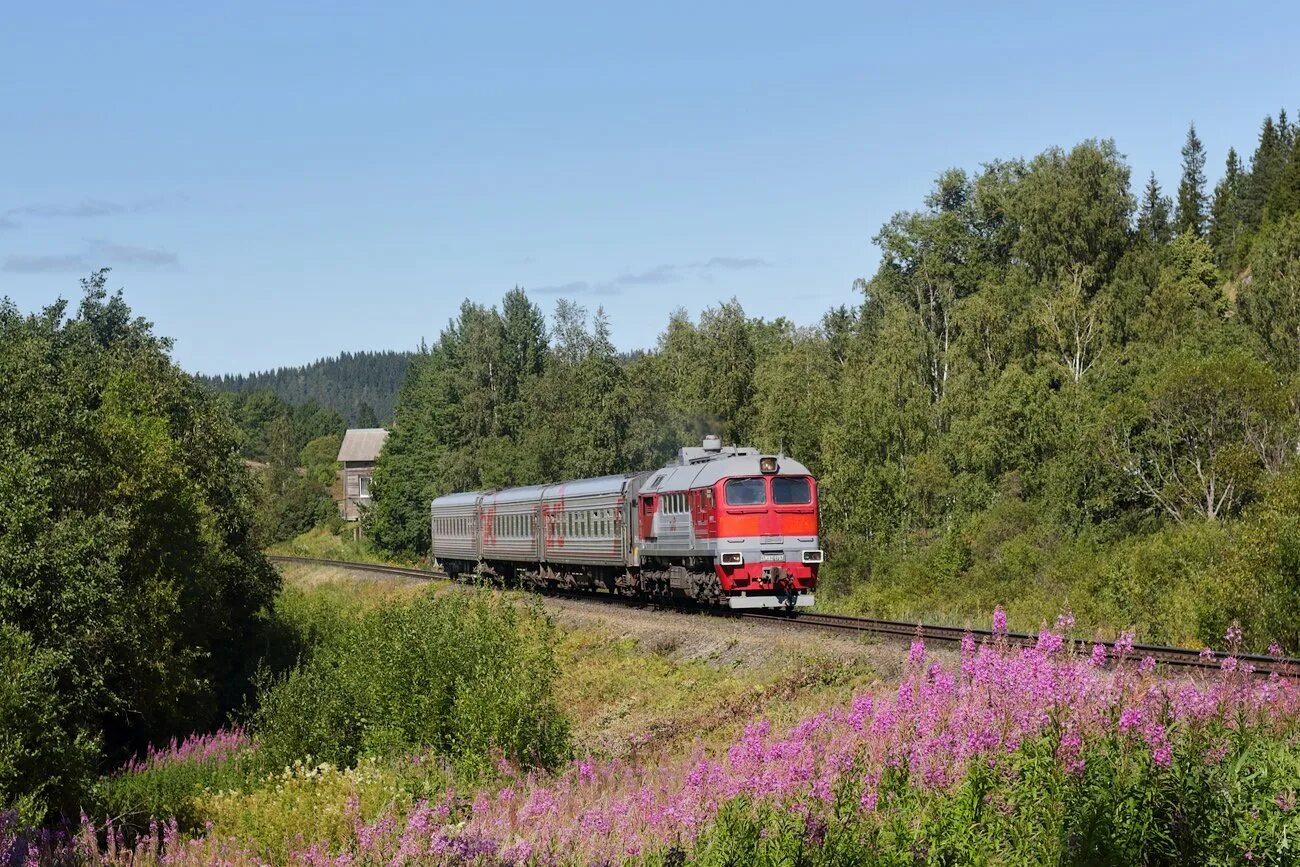 Поезда через сортавала. Поезд Петрозаводск Сортавала. Дм62 1787. Железная дорога Петрозаводск Сортавала. Рельсовый автобус Рускеала Сортавала.