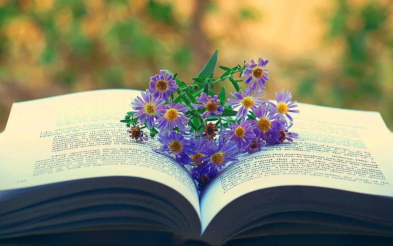 Книга цветы. Цветы в книжке. Книга про цвет. Раскрытые книги с цветами. Без доброй книги
