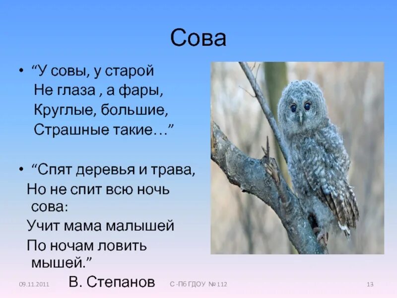 Совушка сова большая голова текст