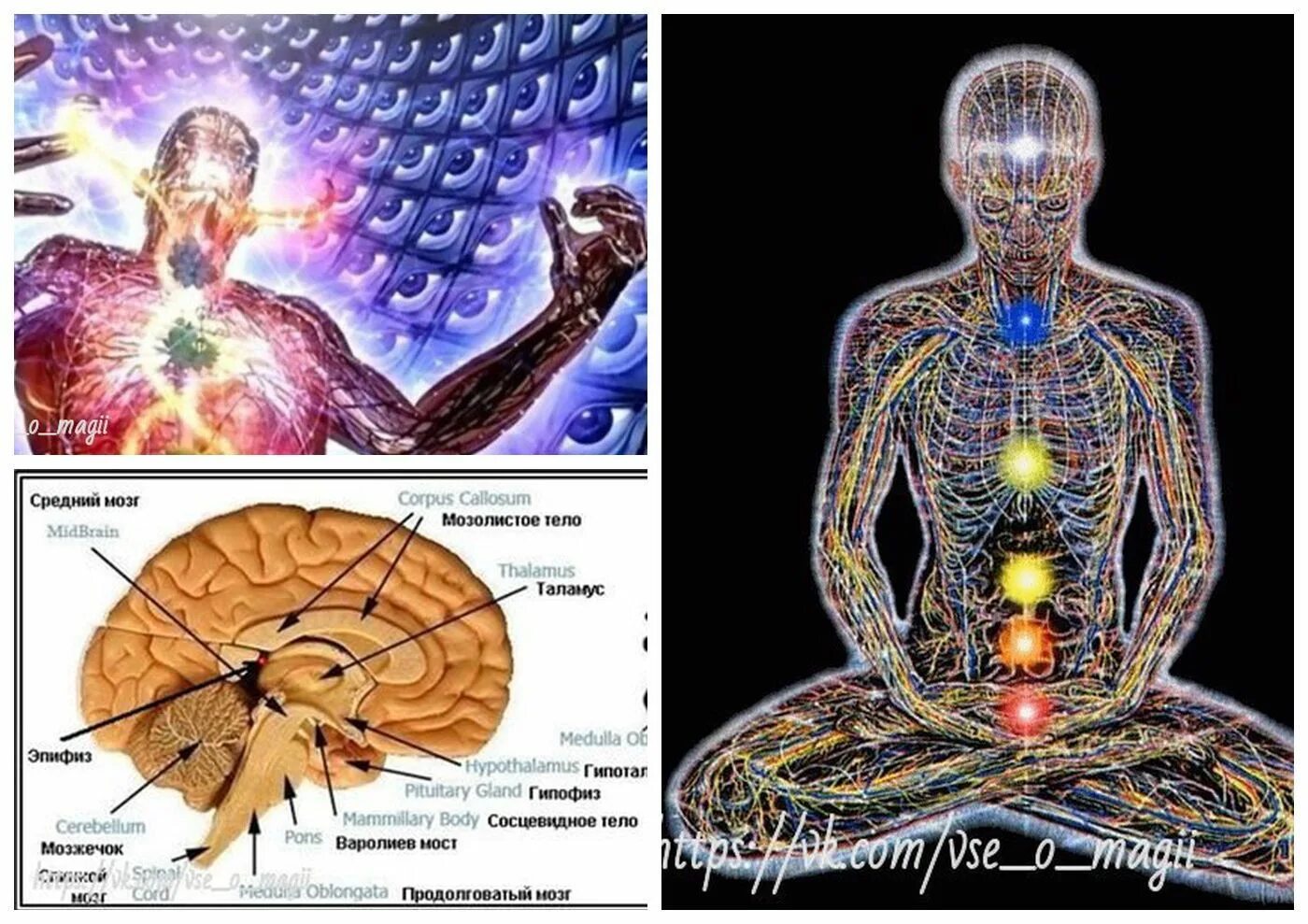 Шишковидная железа третий глаз. Шишковидная железа чакра. Шишковидная железа (эпифиз). Третий глаз в мозге. Медитация шишковидной железы