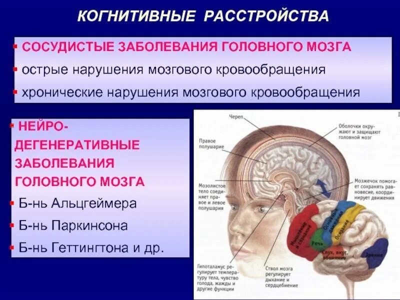 Причины заболеваний головного мозга. Нарушение головного мозга. Когнитивные нарушения головного мозга. Нарушение когнитивных функций мозга. Согенетивная расстройства.