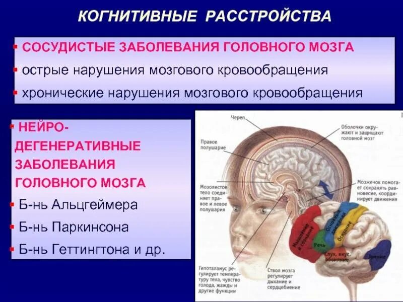 Полное поражение головного мозга. Нарушение головного мозга. Когнитивные нарушения головного мозга. Нарушение когнитивных функций мозга. Согенетивная расстройства.