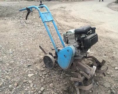 Авито крот