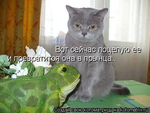 Смешные картинки. Дайте я вас сейчас расцелую. Дай я тебя расцелую. А поцеловать прикол. Я тебя поцелую потом если.