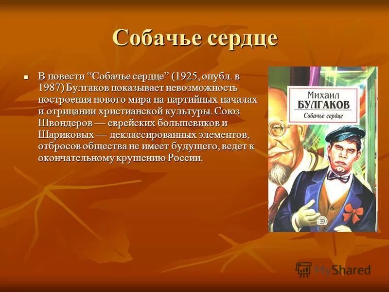 Фантастика и реальность в повести собачье сердце. Характеристика Собачье сердце. Таблица героев Собачье сердце. Швондер характеристика Собачье сердце. Таблица характеристика Собачье сердце.