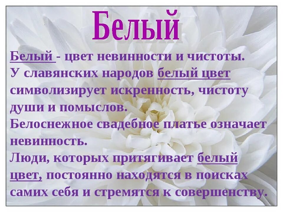 Белый цвет символизирует чистоту. Белый цвет цветов символизирует. Что символизирует белый. Белый цвет чистоты и невинности.